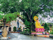 Chùa Gò Kén đổi thay sau 100 năm