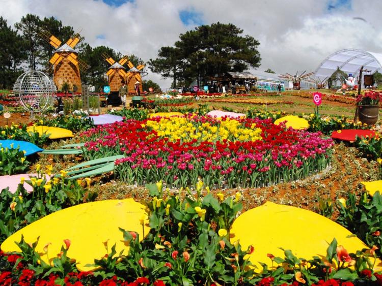 Đà Lạt sẽ tổ chức festival hoa xuyên suốt 3 tháng cuối năm 2022