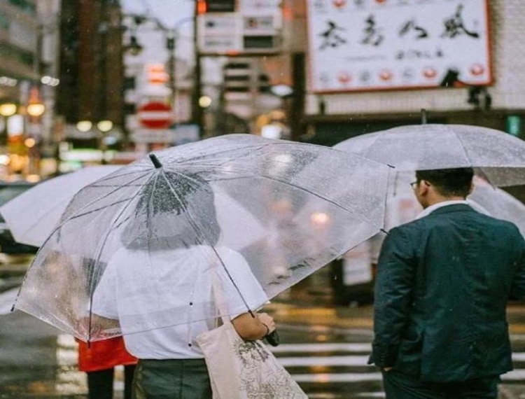 Chiếc ô trong suốt ở Nhật Bản: Nét văn hóa không thể thiếu của đất nước mặt trời mọc