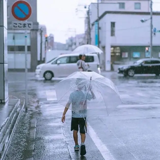 Chiếc ô trong suốt ở Nhật Bản: Nét văn hóa không thể thiếu của đất nước mặt trời mọc - 1