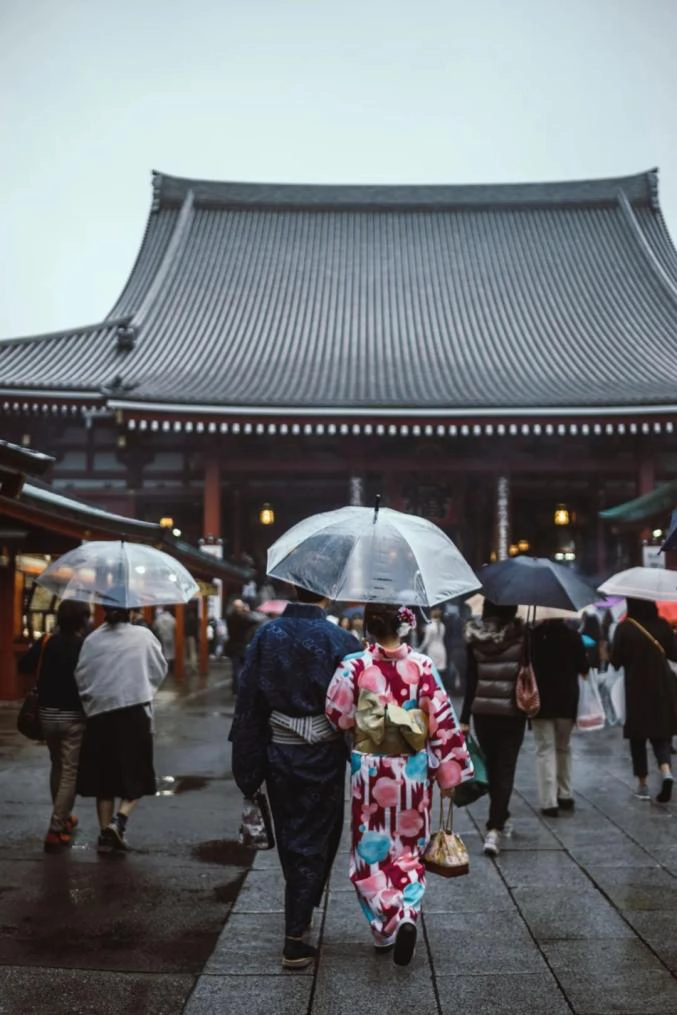 日本の透明傘：昇る太陽の国の不可欠な文化的要素-3