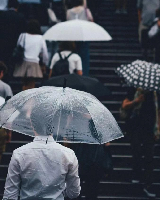 Chiếc ô trong suốt ở Nhật Bản: Nét văn hóa không thể thiếu của đất nước mặt trời mọc - 4
