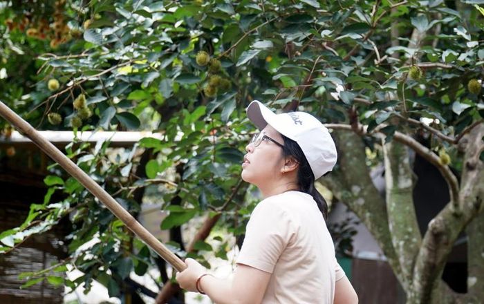 Du khách thích thú trải nghiệm hái trái cây, ăn tại vườn ở Ninh Thuận - 2