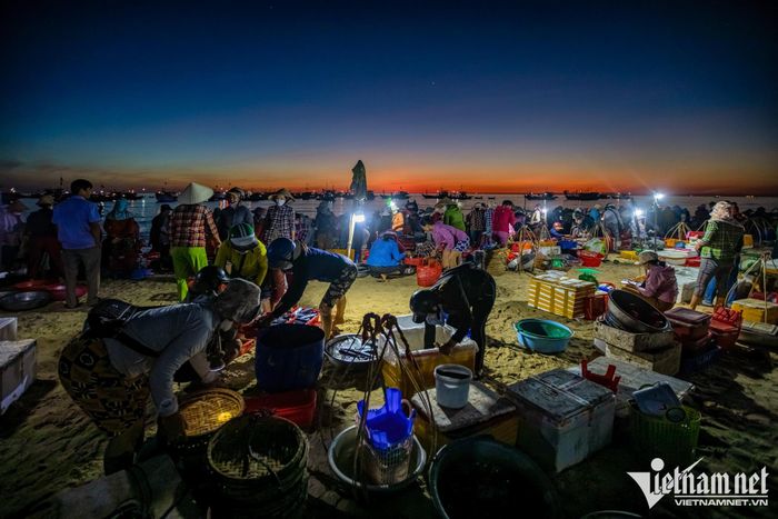 Chợ cá đẹp nhất vùng biển Quảng Nam - 6