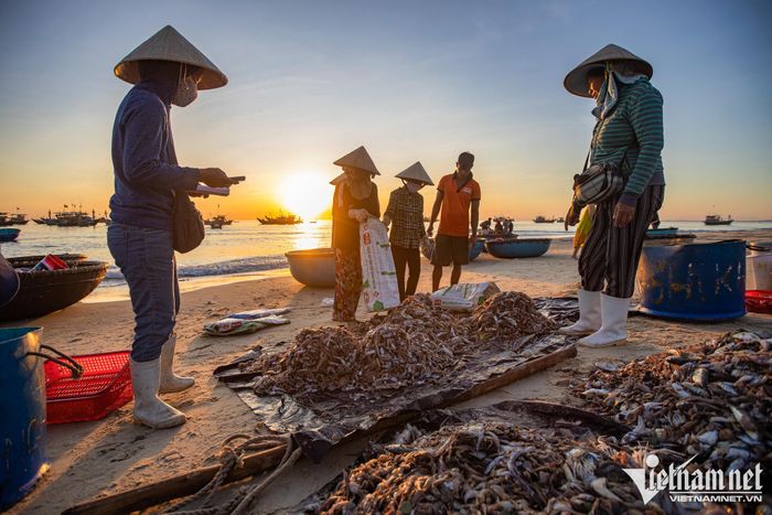Chợ cá đẹp nhất vùng biển Quảng Nam - 11