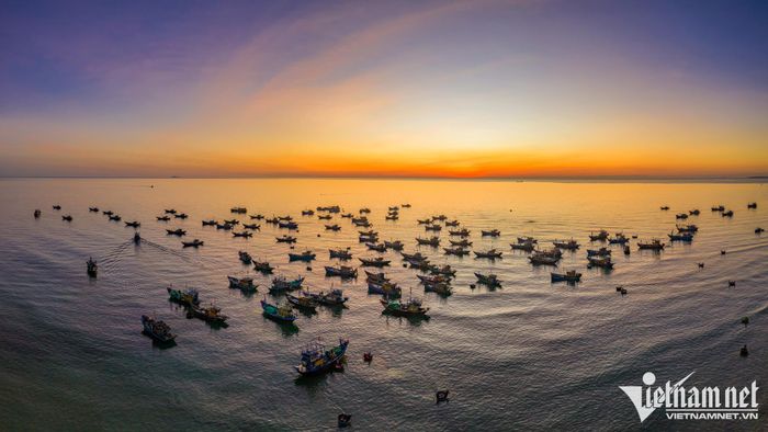 Chợ cá đẹp nhất vùng biển Quảng Nam - 2