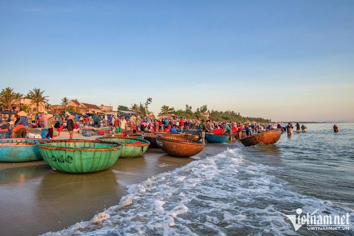 Chợ cá đẹp nhất vùng biển Quảng Nam - 10