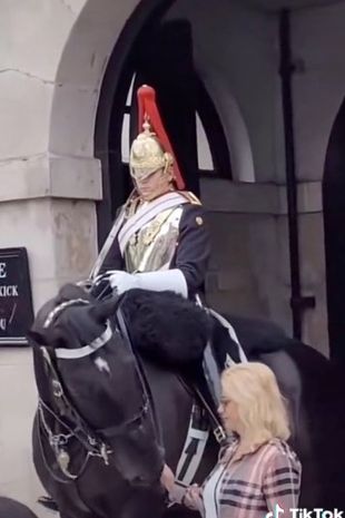 Cố chấp thả dáng bên kỵ binh của Nữ Hoàng, nữ du khách nhận cái kết nhớ đời - 1