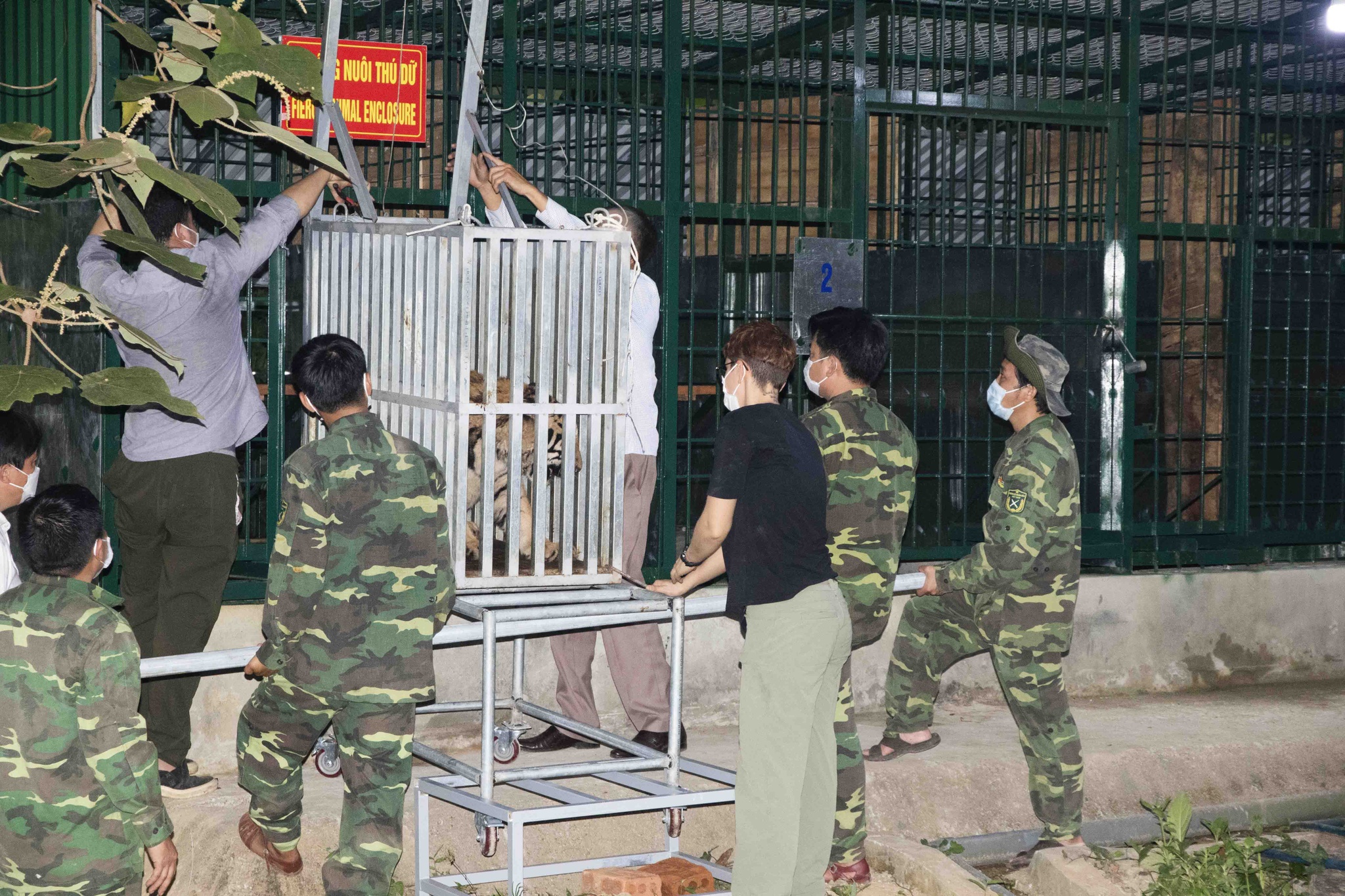 Nhanh chóng xác minh thông tin hổ xuất hiện tại Phong Nha - Kẻ Bàng để bảo vệ du khách và người dân - 3
