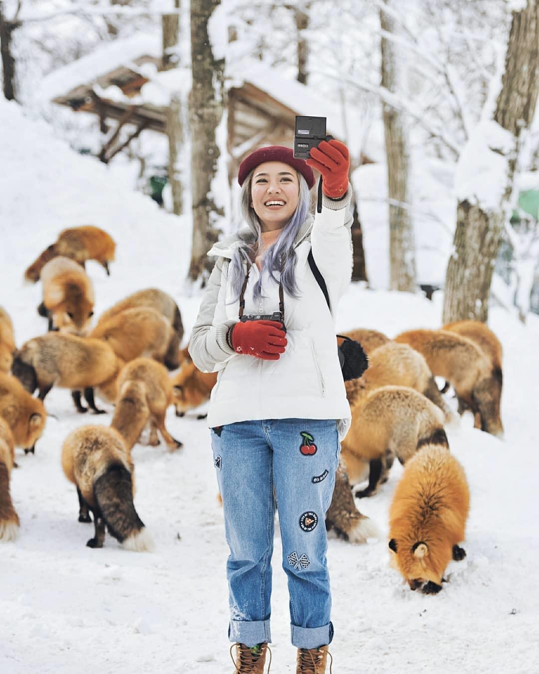 Thích thú với ngôi làng có hàng trăm con cáo béo ở Nhật Bản - 9