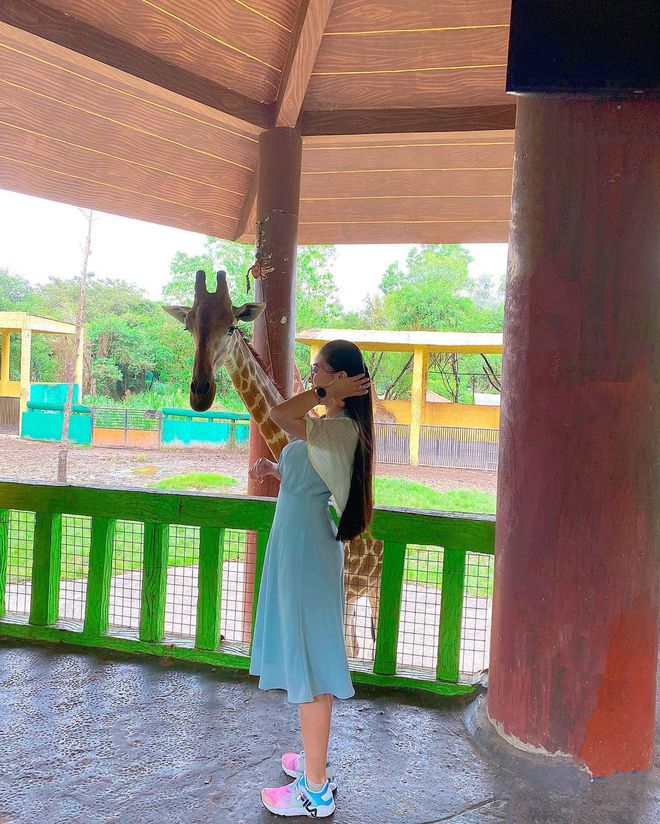 Những vườn thú giúp trẻ nhỏ được trải nghiệm tiếp xúc động vật ở cự ly gần - 1