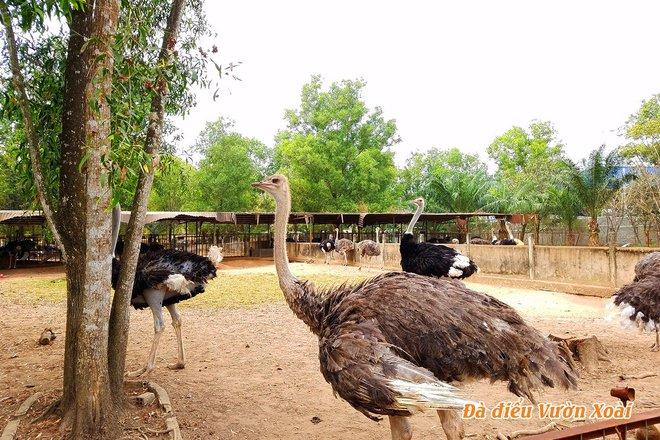 Những vườn thú giúp trẻ nhỏ được trải nghiệm tiếp xúc động vật ở cự ly gần - 9