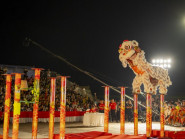 Mãn nhãn xem chú lân thi triển động tác khó trên các cột cao cả mét