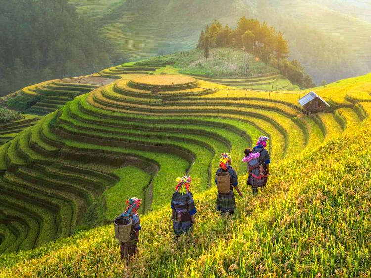What is the best time of year to travel to Sapa?