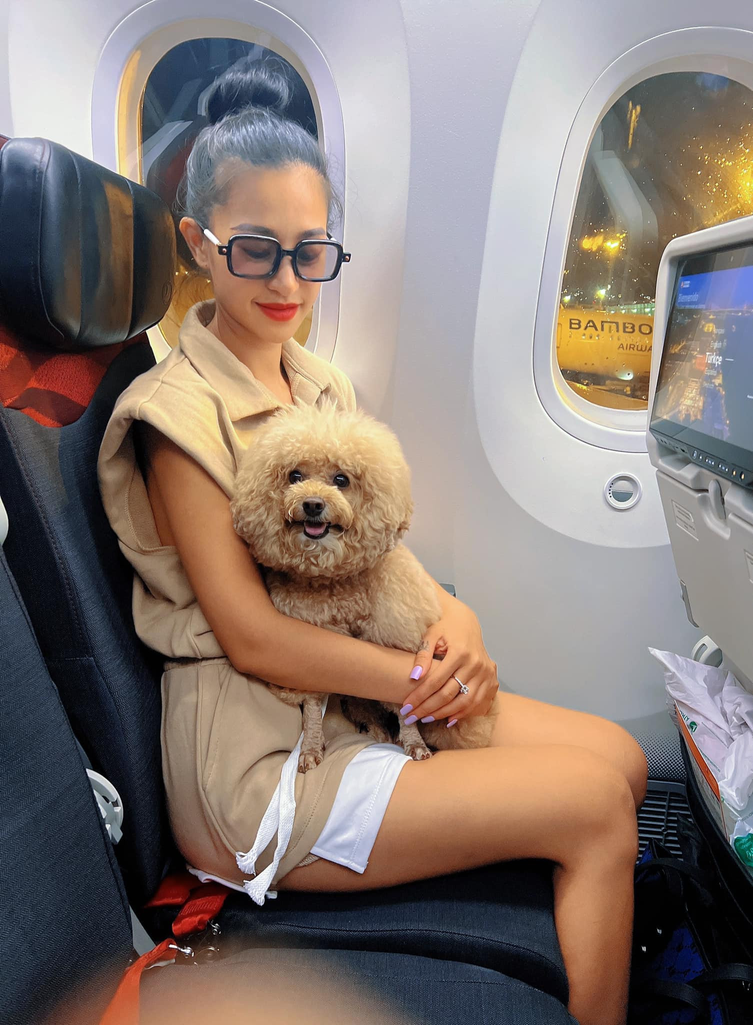 Cô gái Sài Gòn 4 tháng "chạy" thủ tục đưa cún cưng bay châu Âu - 1