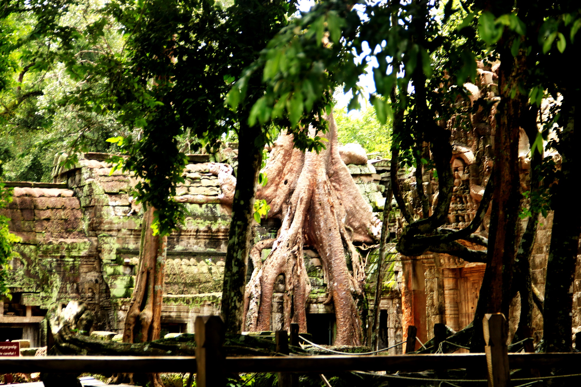 Trở lại Angkor Wat - 3