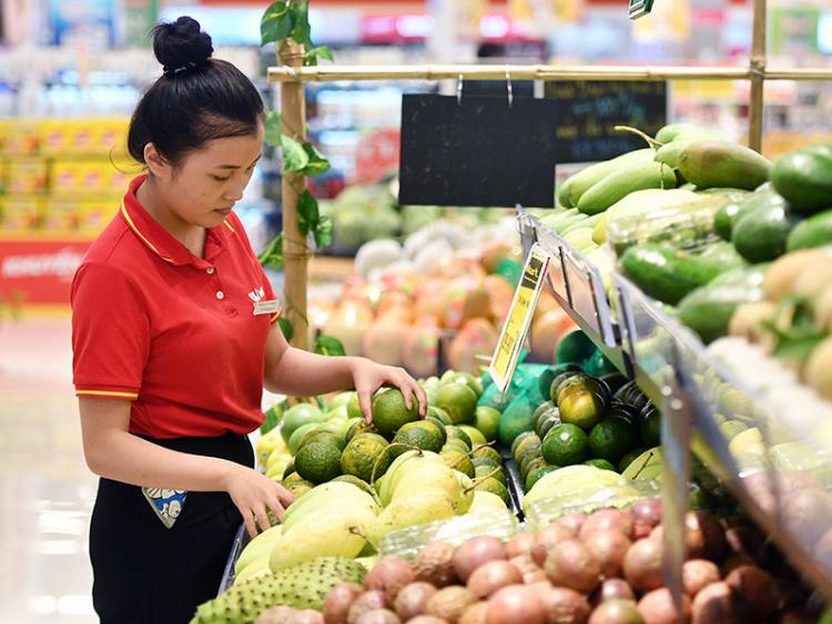 Bộ trưởng Lê Minh Hoan: “Rau dỏm vào siêu thị, tôi không vô can“