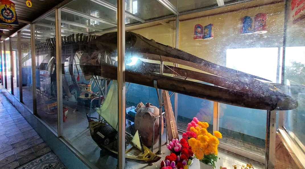 Bên trong đền thờ cá voi tại Việt Nam - 2