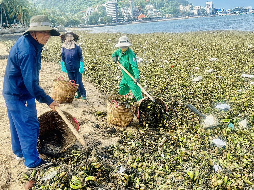 Rác đại dương tấn công Vũng Tàu nhiều chưa từng thấy - 1