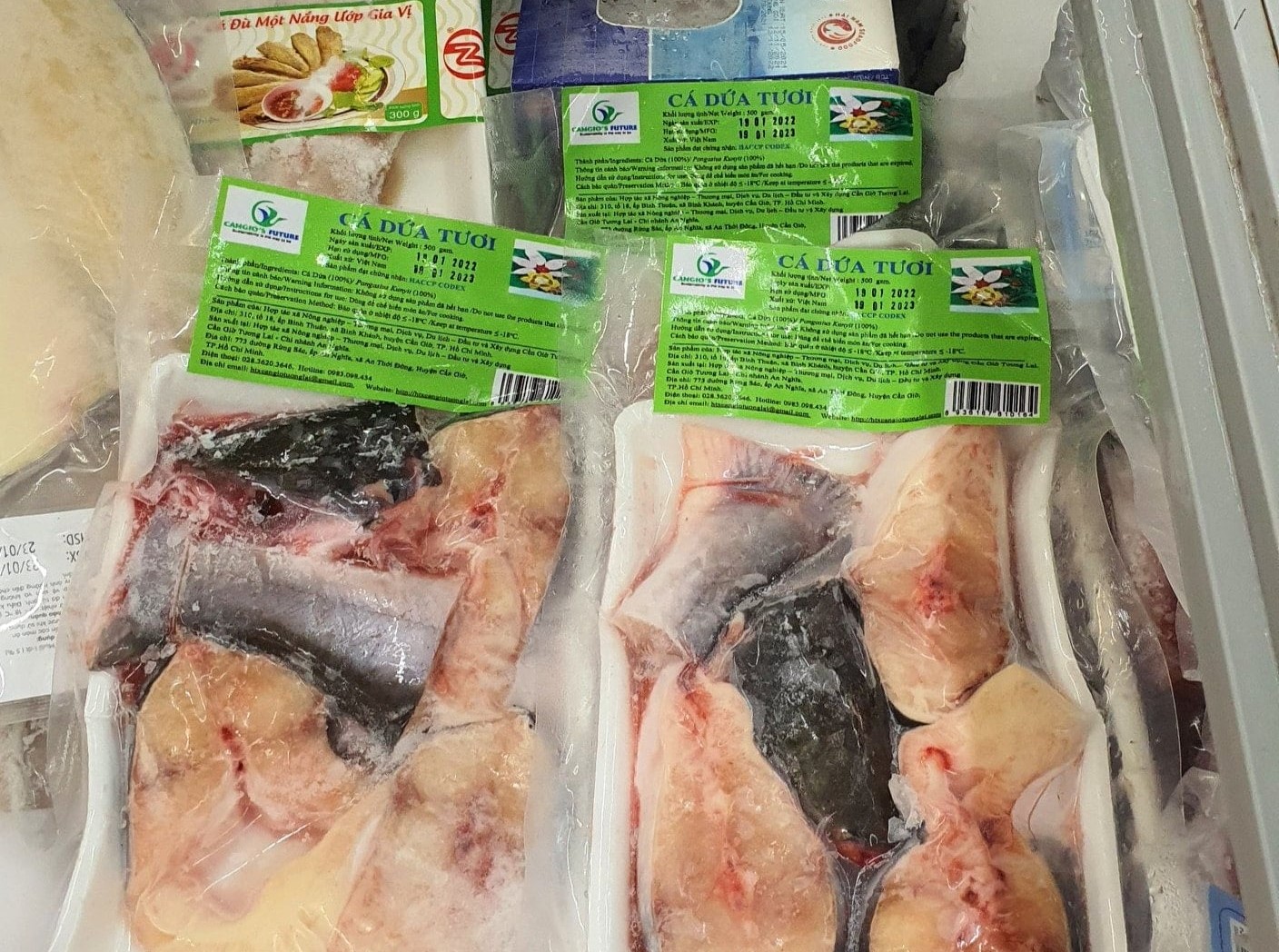 Kinh tế tập thể: Điểm nhấn nông nghiệp TP.HCM - 2