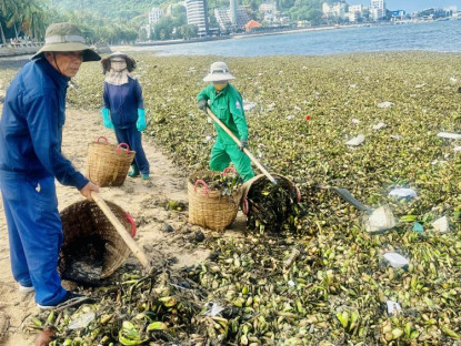 Suy ngẫm - Rác đại dương tấn công Vũng Tàu nhiều chưa từng thấy