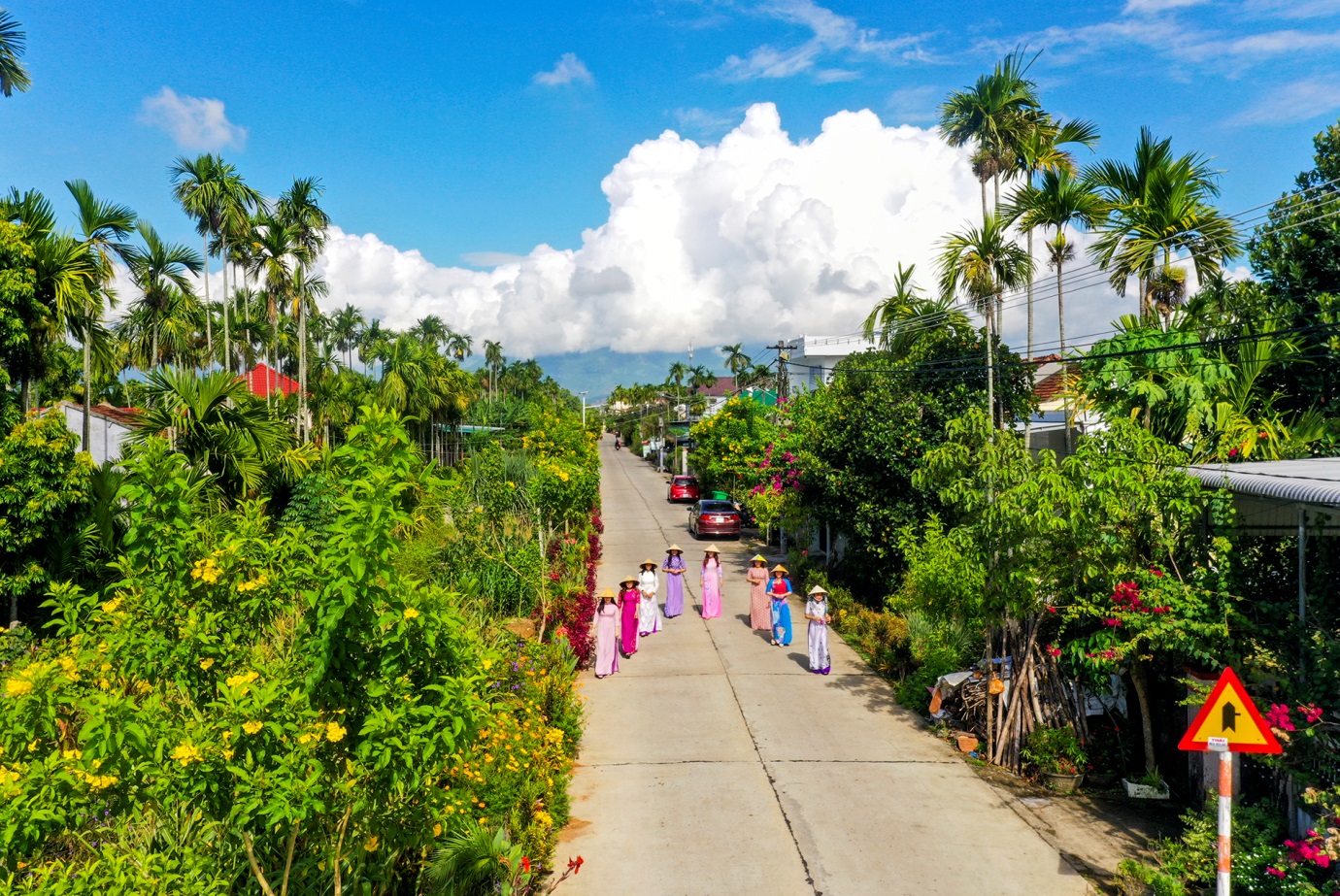 lan toa tinh yeu que huong tren nhung tuyen duong hoa ruc ro - 3