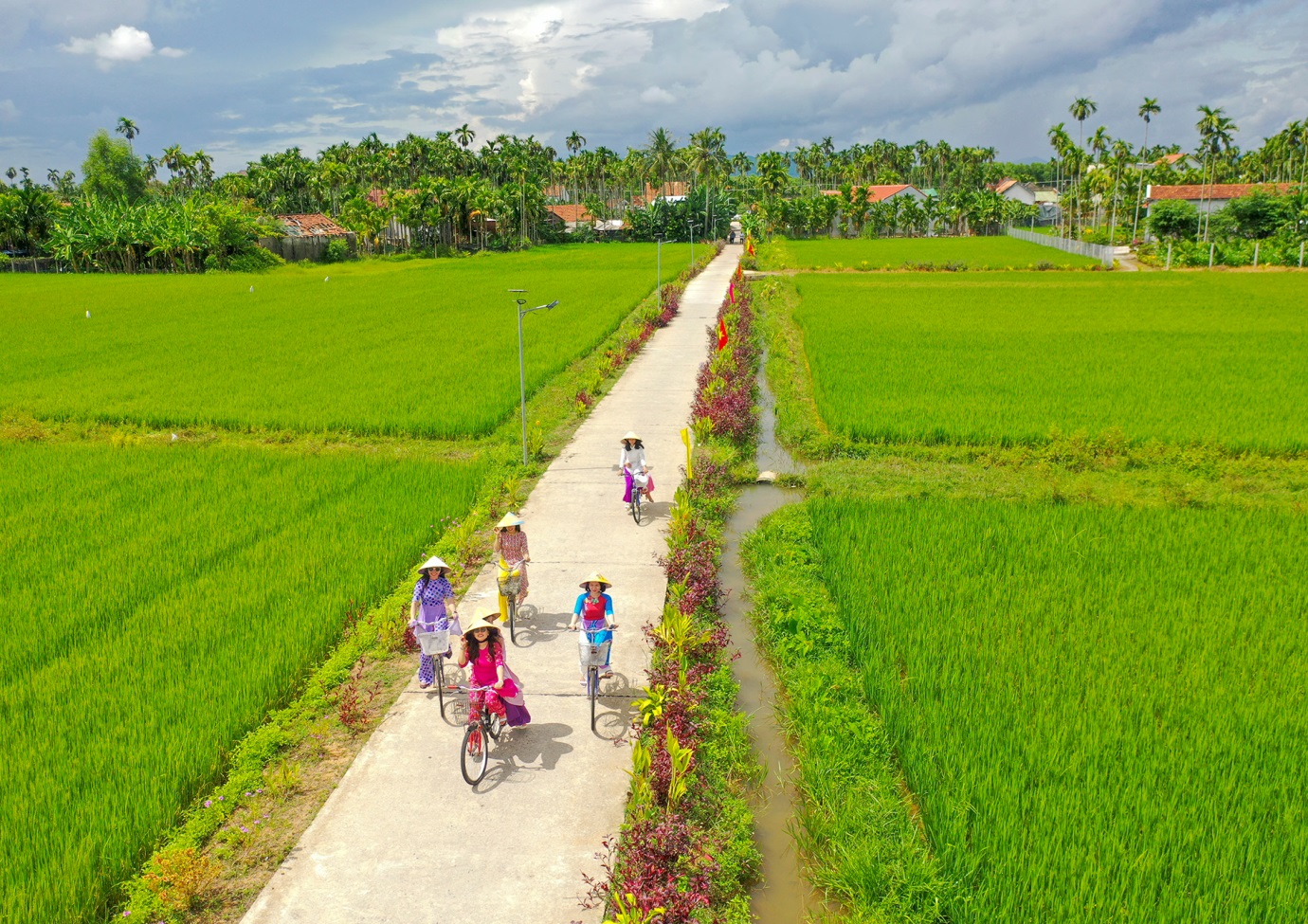 lan toa tinh yeu que huong tren nhung tuyen duong hoa ruc ro - 4