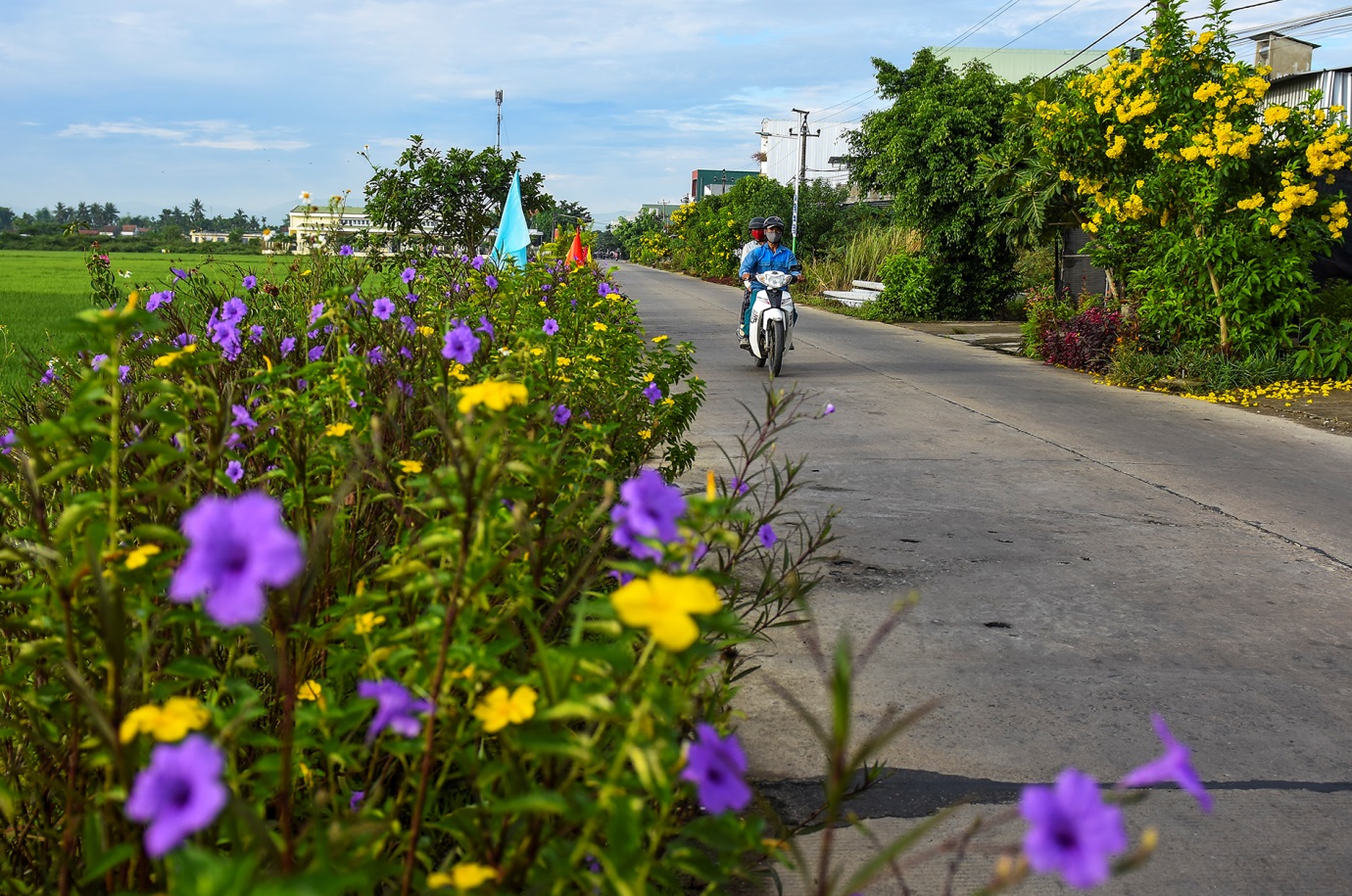 lan toa tinh yeu que huong tren nhung tuyen duong hoa ruc ro - 17