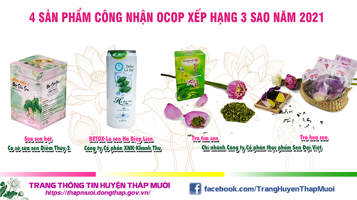 Về Đồng Tháp, ngắm đồng sen bát ngát, thưởng thức đặc sản OCOP từ sen - 3