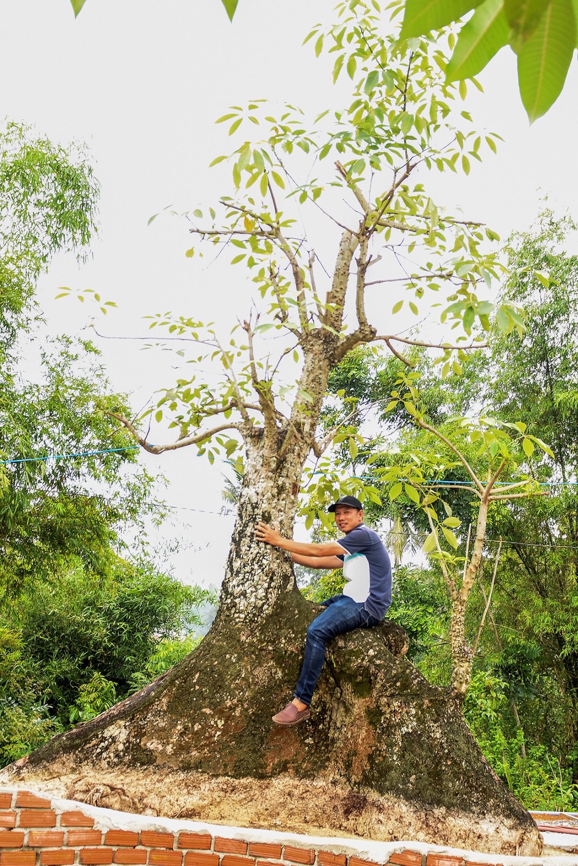 vuon cay kieng doc dao cua 'ong trum' cay canh o quang nam - 12