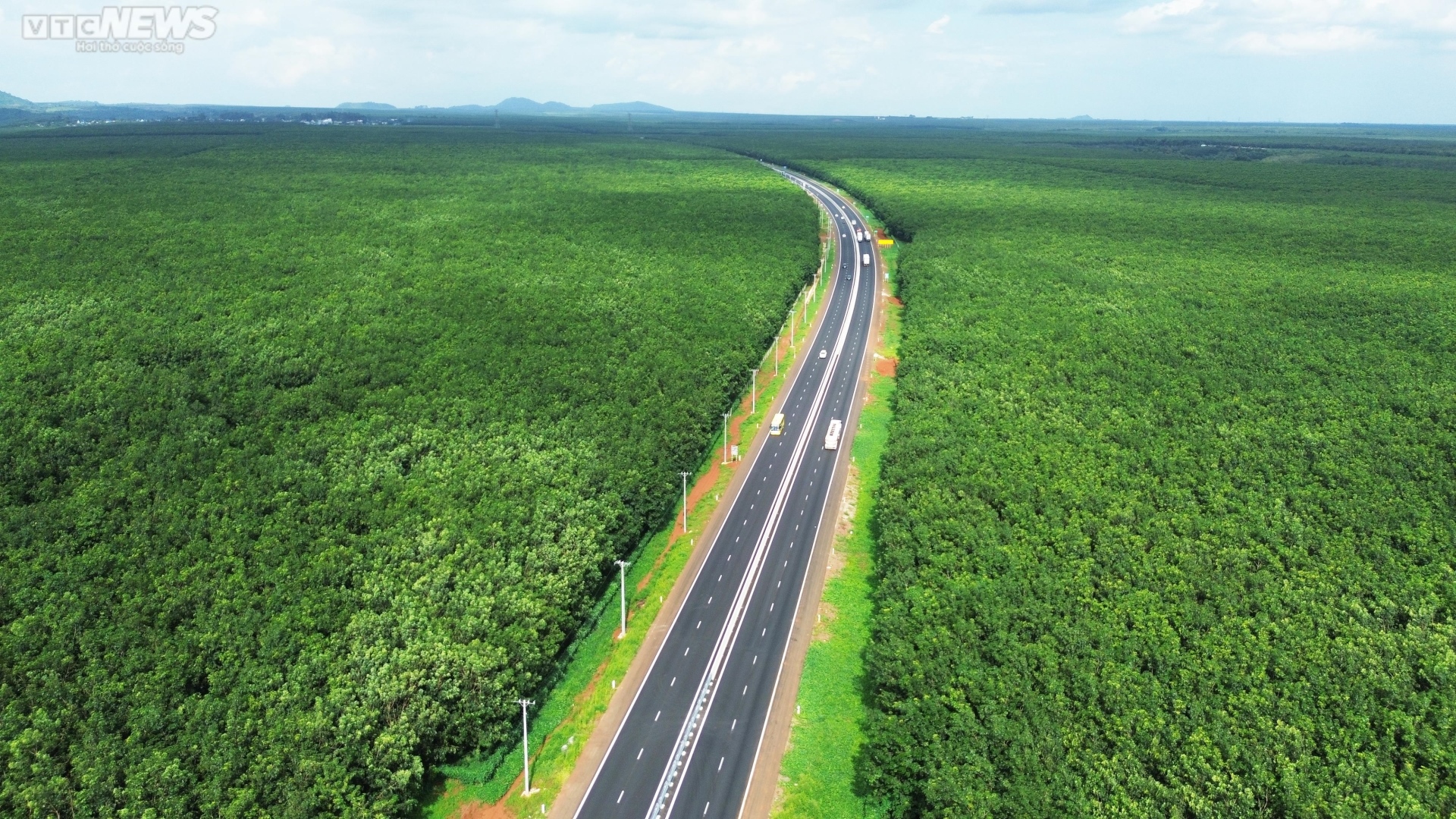 Mê mẩn rừng cao su xanh mướt ôm trọn cao tốc Dầu Giây - Phan Thiết - 8