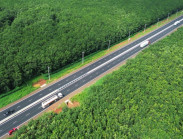 Mê mẩn rừng cao su xanh mướt ôm trọn cao tốc Dầu Giây - Phan Thiết
