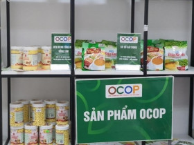 Chương trình OCOP toàn quốc và tại TP.HCM