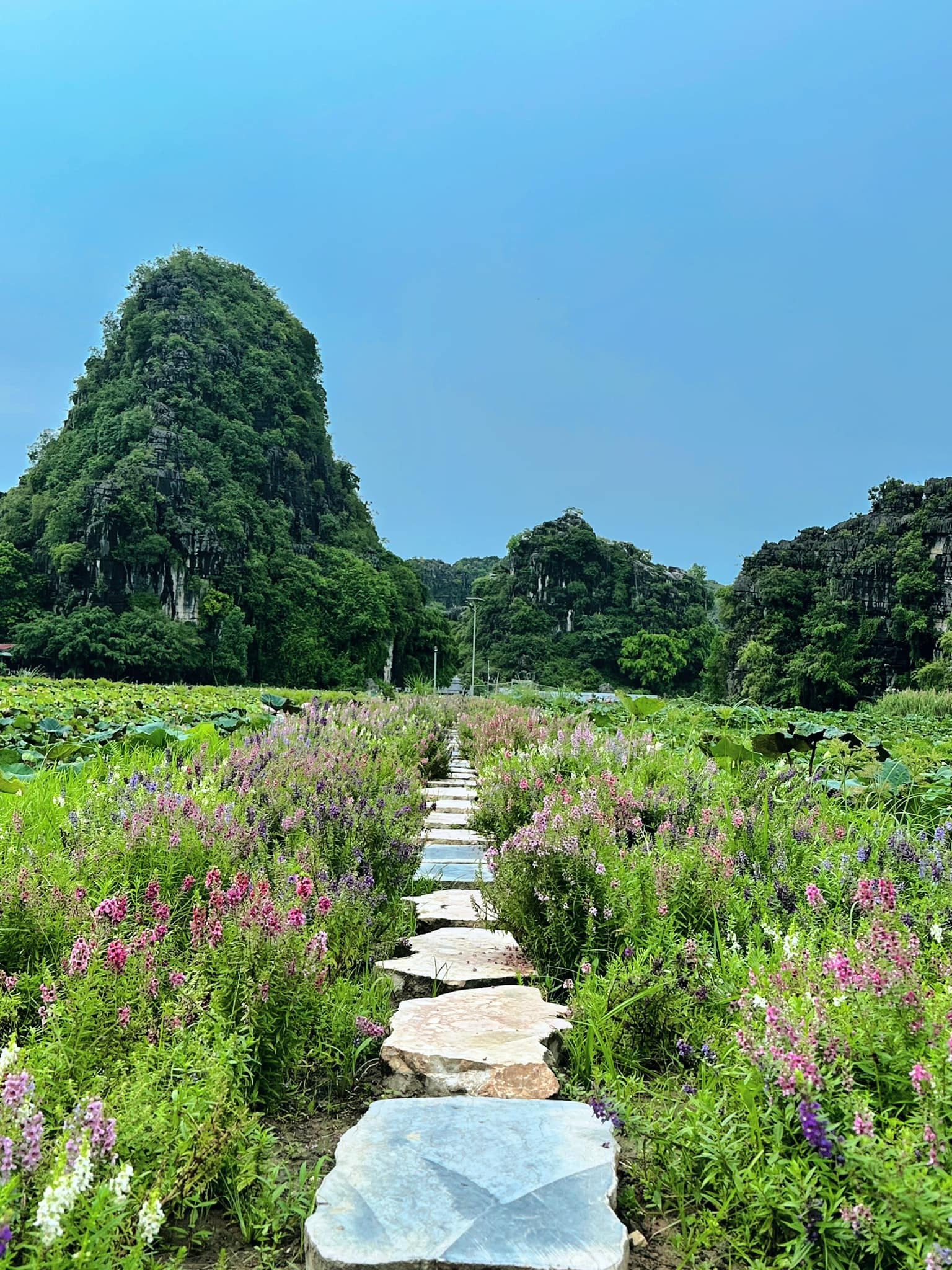 Check-in Ninh Bình, tham quan những địa điểm đẹp như trong truyền thuyết - 11