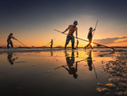 Chuyện đời thường