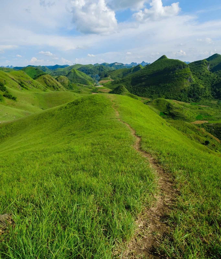Đến Cao Bằng, check-in đồi cỏ Vinh Quý mùa cỏ xanh - 1
