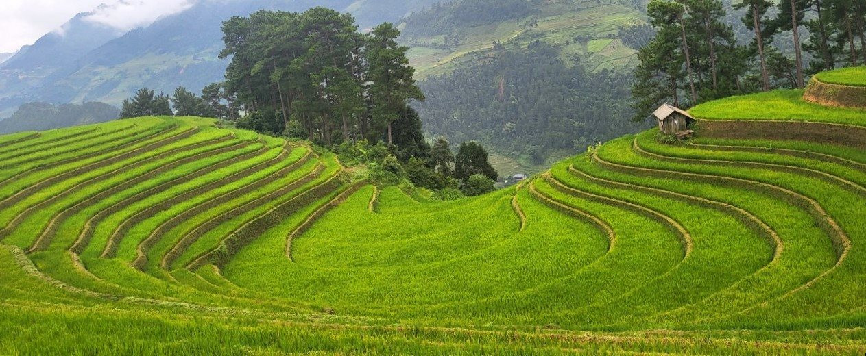 "Những chiếc thang tuyệt vời leo lên bầu trời Tây Bắc" - 8