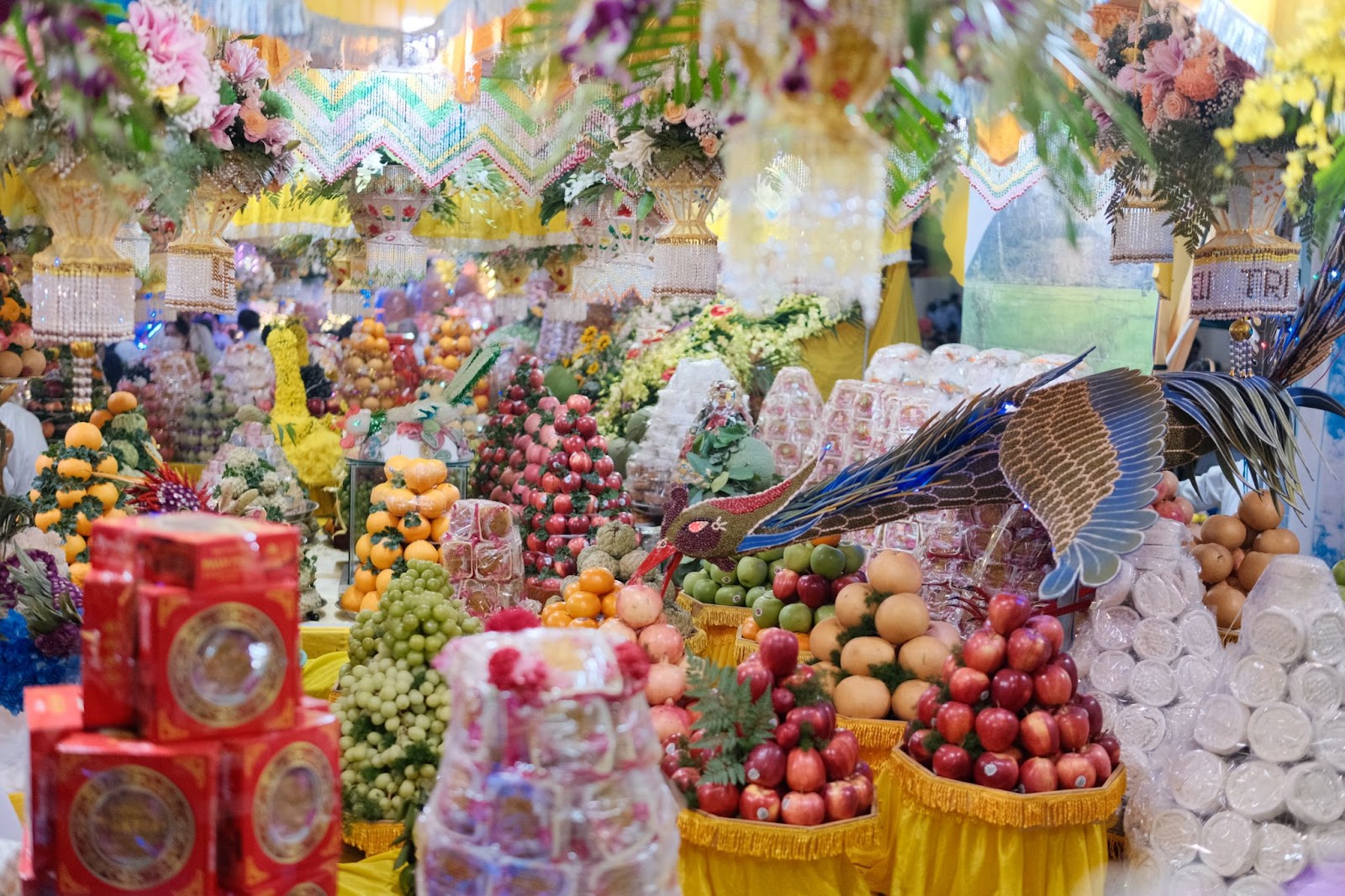 tay ninh khoac ao ruc ro truoc dem hoi yen dieu tri cung - 6