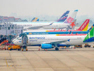 Giá vé máy bay 'cao ngất', doanh nghiệp du lịch ‘kêu cứu’