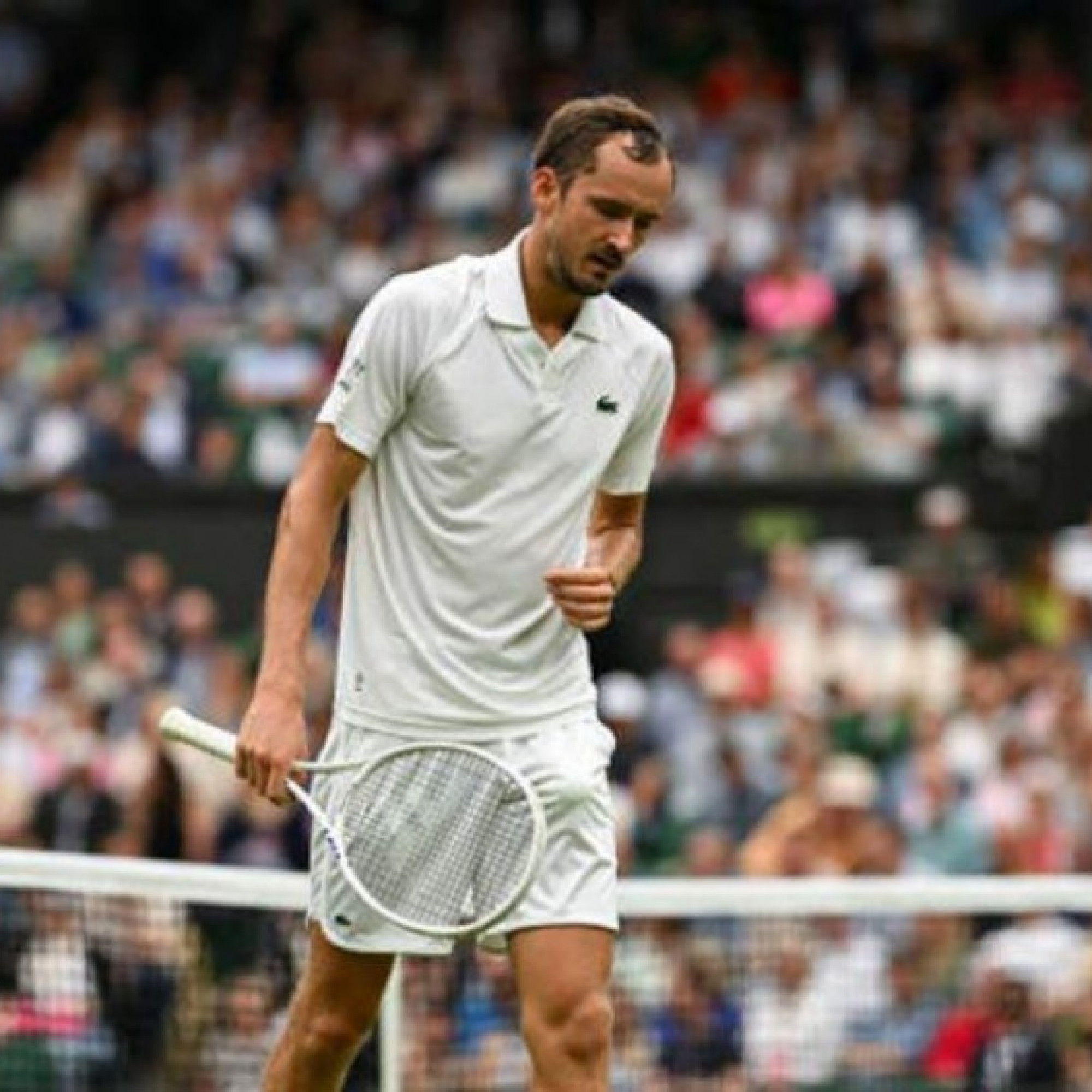  - Trực tiếp tennis Wimbledon ngày 5: Medvedev gặp khó, Sinner & Alcaraz tiếp đối thủ vừa sức