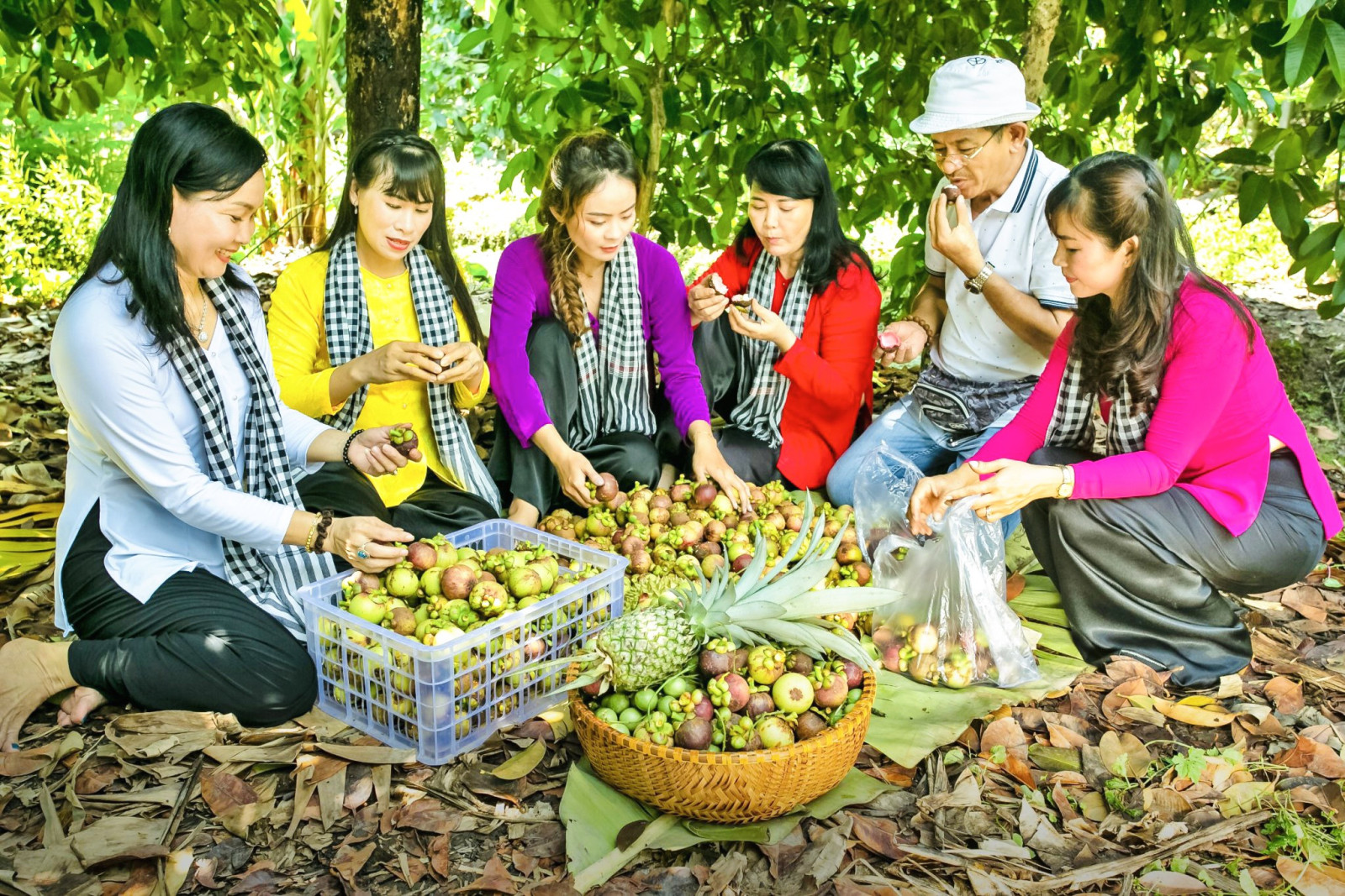 Vườn trái cây Lái Thiêu - Một thời vang bóng - 1