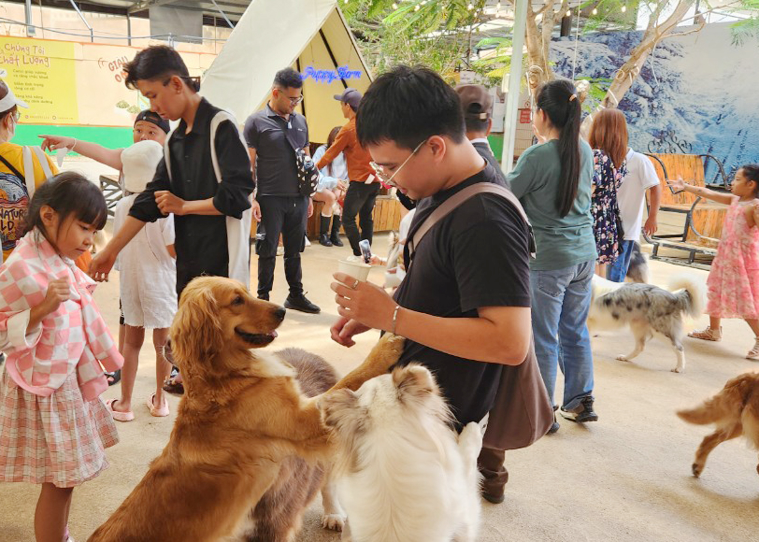 Nông trại hút khách ở Đà Lạt - 2