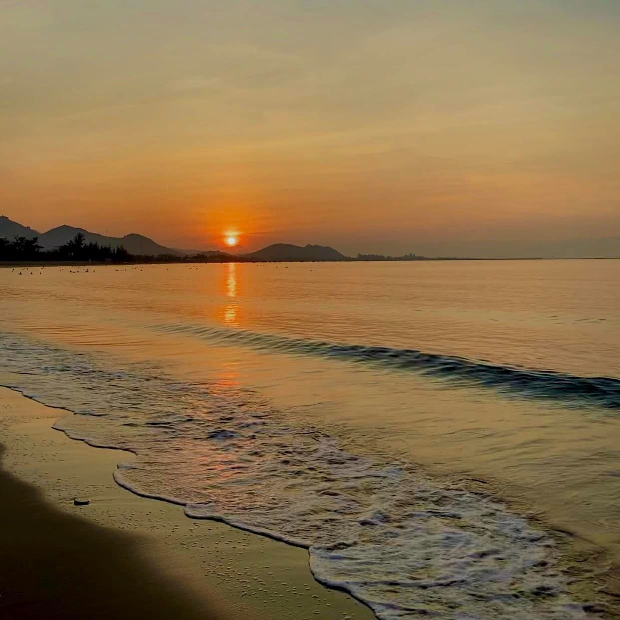 Vẻ đẹp say lòng của Ninh Thuận: Bãi đá "triệu năm" ẩn mình bên bờ biển