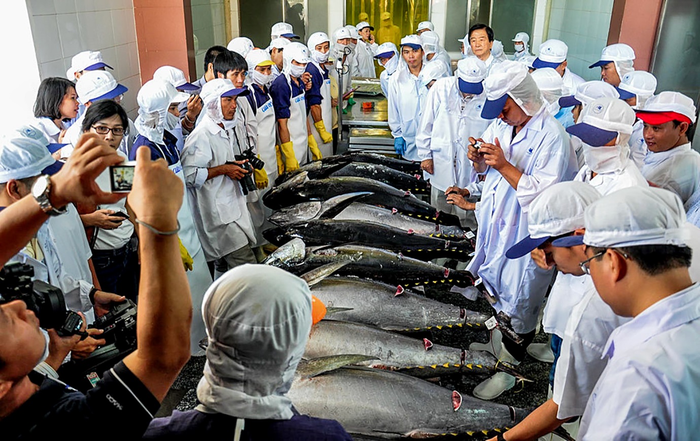 le hoi tinh hoa dat bien binh dinh nam 2024 de lai nhieu an tuong - 2