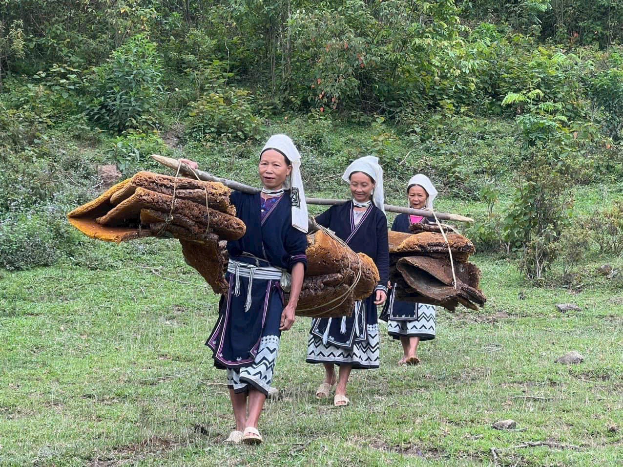 sap ong da tren nhung bo vay cua nguoi dao tien o hoai khao - 11