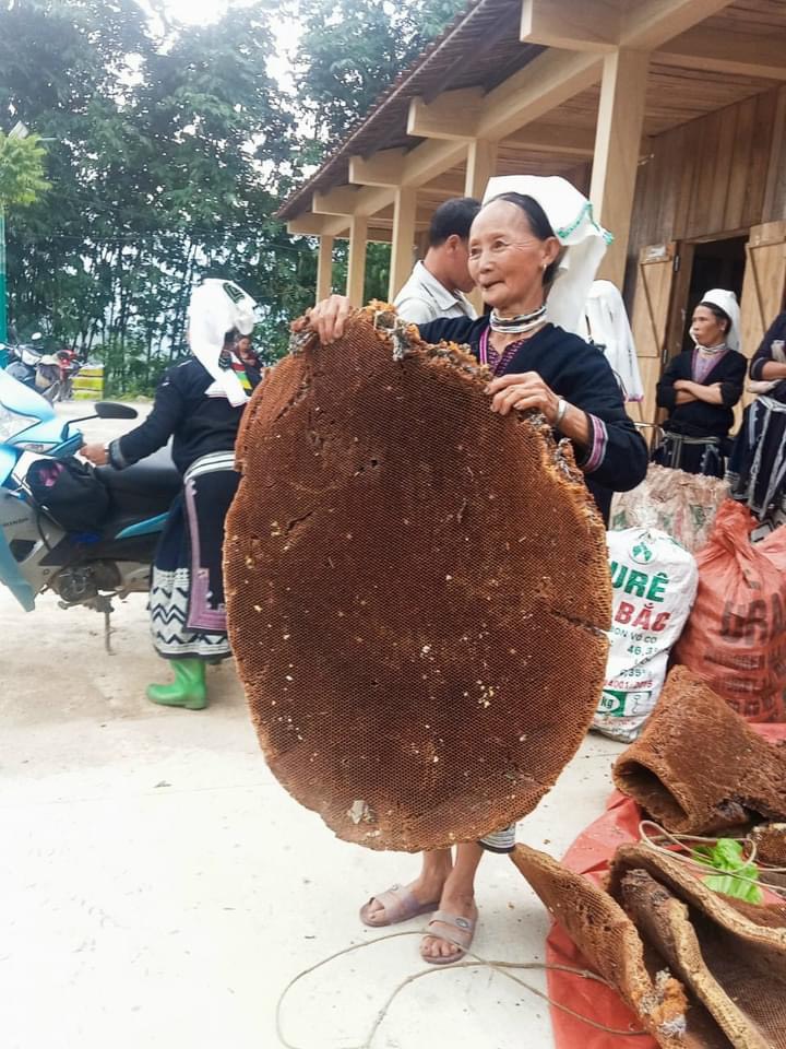 sap ong da tren nhung bo vay cua nguoi dao tien o hoai khao - 13