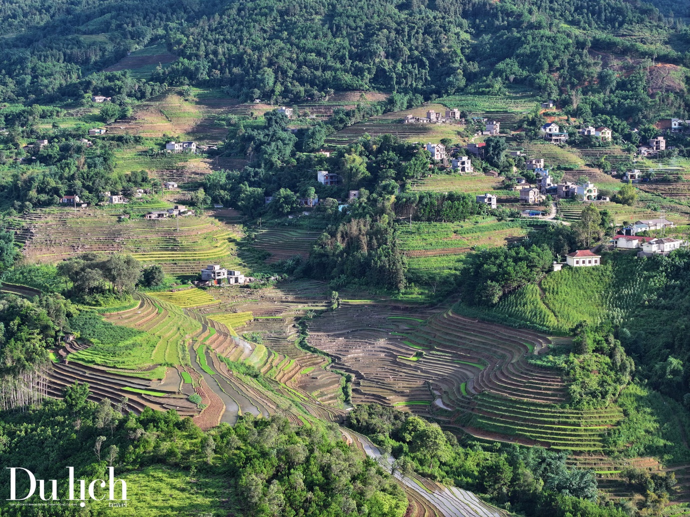 ruong bac thang binh lieu mua nuoc do - 9