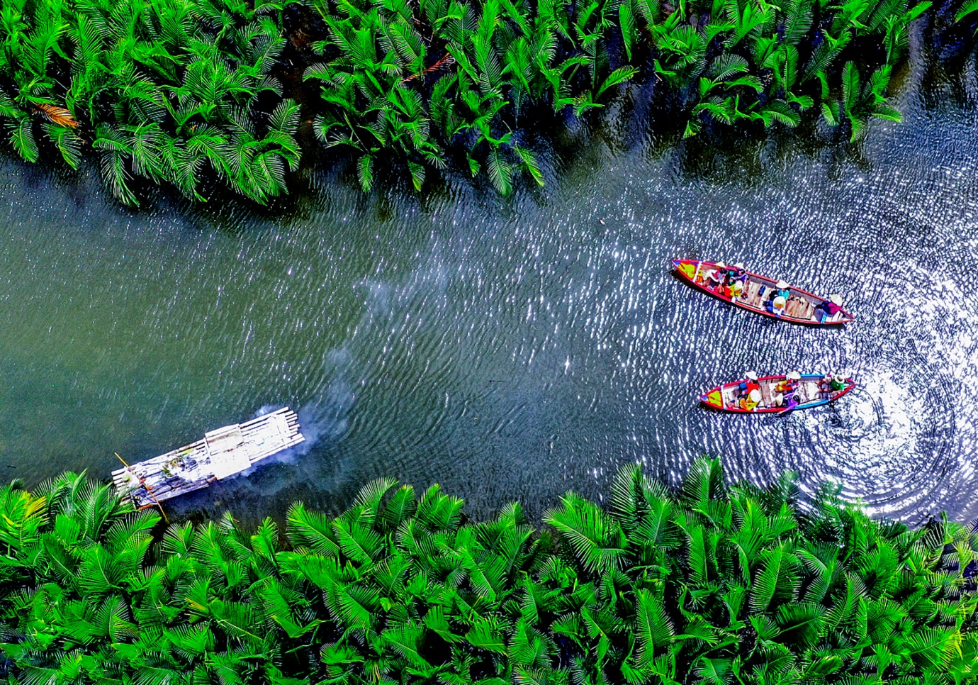 rung dua nuoc tinh khe duoc cong nhan la diem du lich o quang ngai - 4