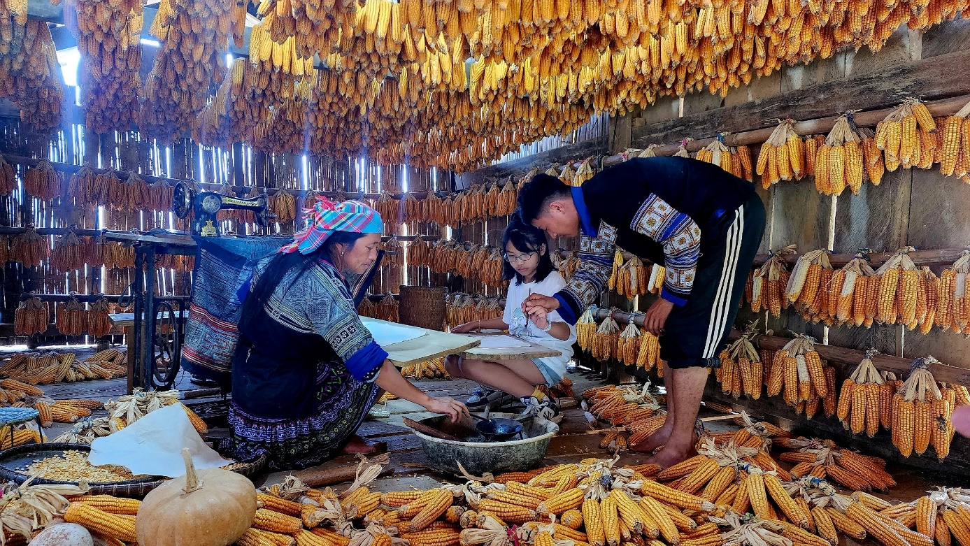 Thoải mái chơi ở ngôi nhà ngô chỉ với 10 ngàn đồng khi đến Mù Cang Chải - 4