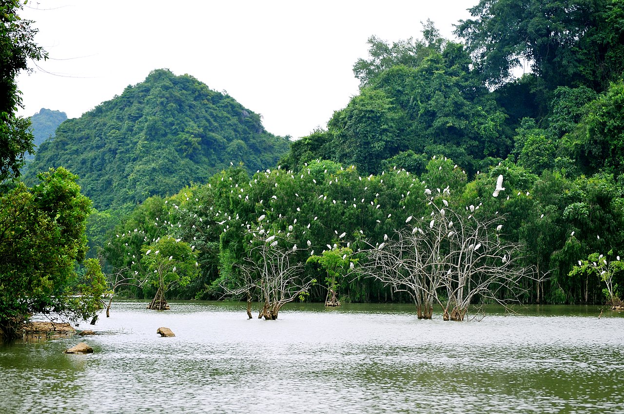 Đến Thung Nham, ngắm hang động kỳ bí, vườn chim lớn nhất miền Bắc - 7